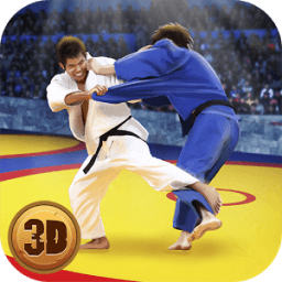 ikon Judo Fighting Tiger 3D