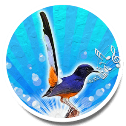 Bird Sounds Ringtone AZ أيقونة