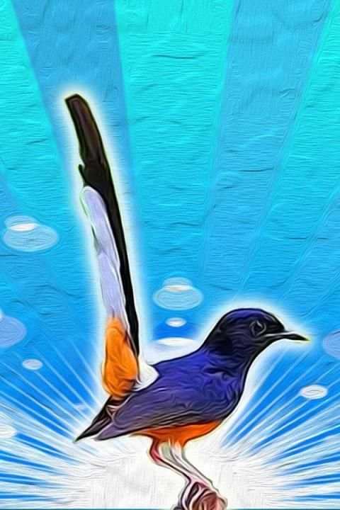 Bird Sounds Ringtone AZ स्क्रीनशॉट 4