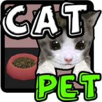 Cat Pet