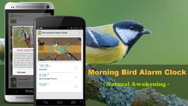Bird Quiz Alarm Clock स्क्रीनशॉट 7