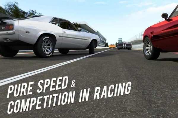 Real Race: Speed Cars & Fast Racing 3D скриншот 20