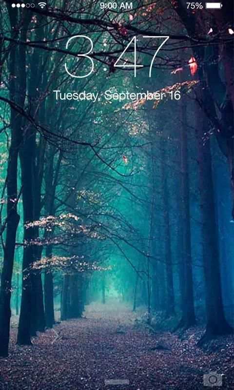 Photography Wallpaper 3 تصوير الشاشة