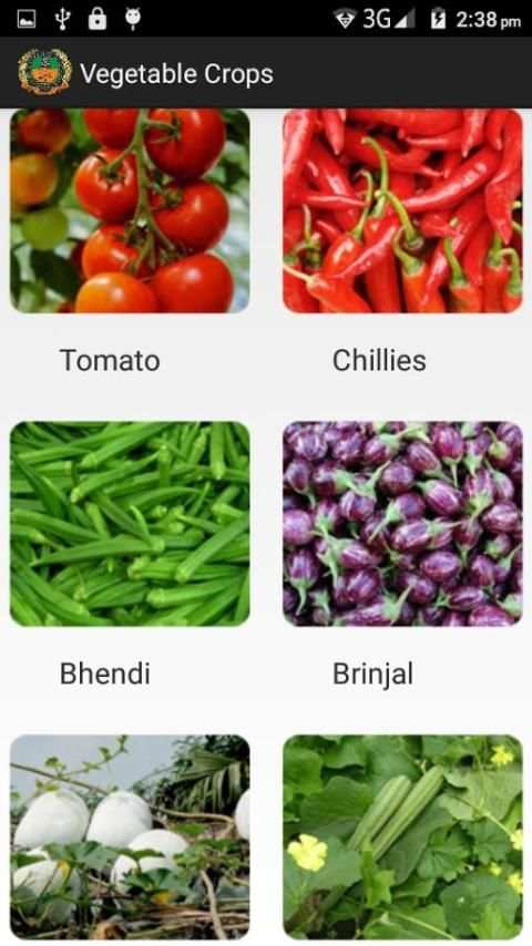 Vegetable Crops स्क्रीनशॉट 4