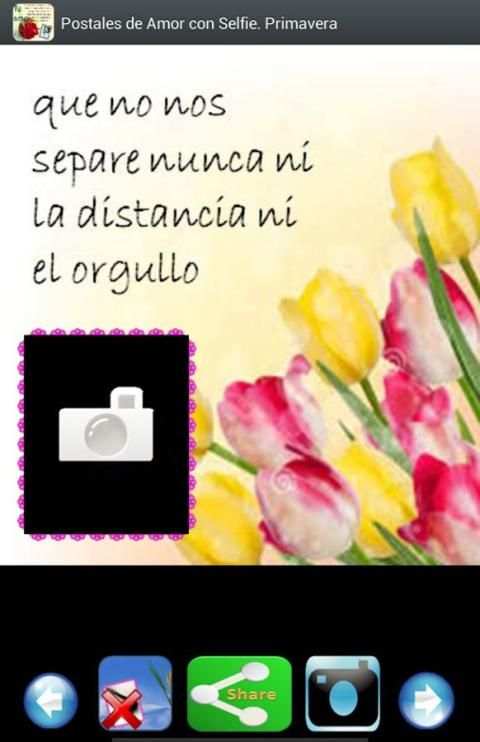 Postales de Amor. Foto Selfie screenshot 3
