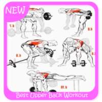 Best Upper Back Workout