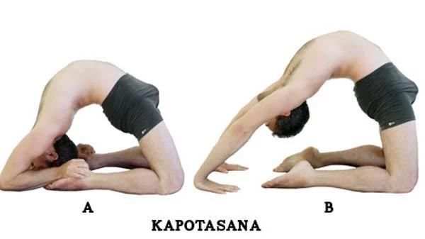 Ashtanga Yoga Tutorial screenshot 4