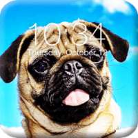 Pug Dog App Lock