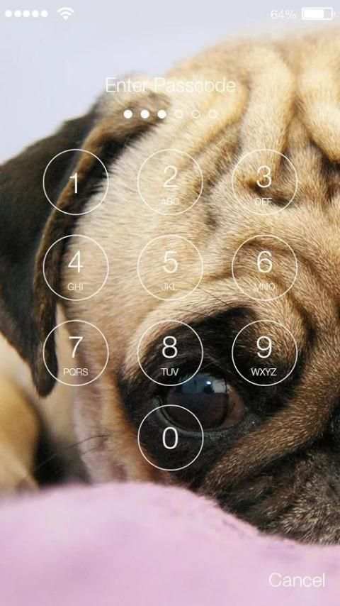 Pug Dog App Lock 2 تصوير الشاشة