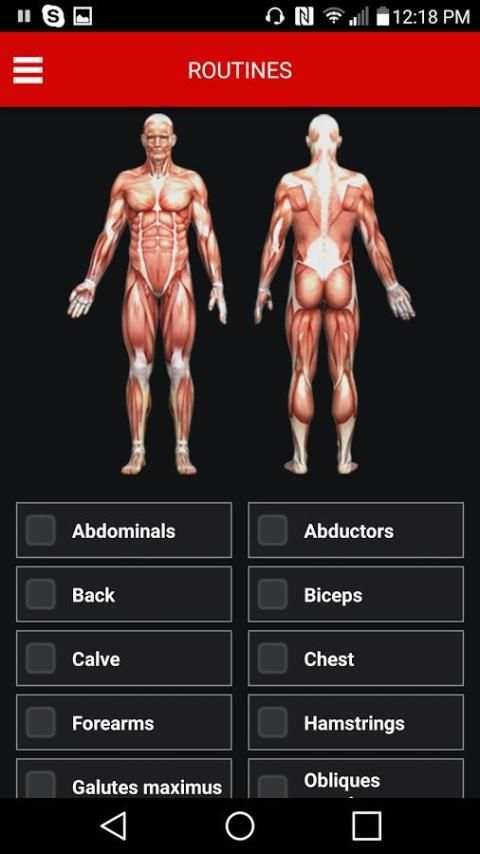 MuscularStrength 7 تصوير الشاشة