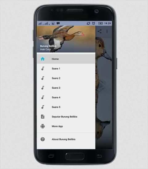 Suara Burung Belibis screenshot 1