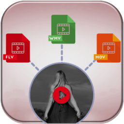 ikon Any Video Converter