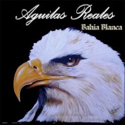 Aguilas Reales أيقونة