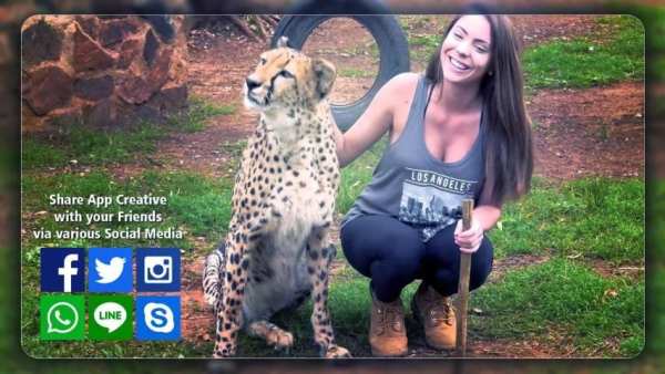 Wild Animal Photo Frame After effects 1 تصوير الشاشة