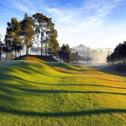 2048 DaLat Flower icon