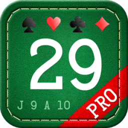 29 Card Game Pro иконка