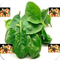 NEW HEALTHY SPINACH RECIPES