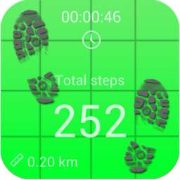 Pedometer and step counter