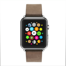 Smart Phone Watches by Apple icon