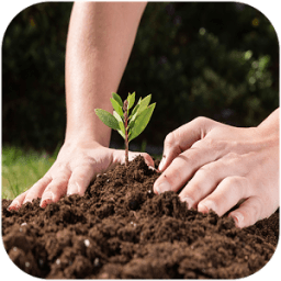 زراعة الخضروات-الزراعة المنزلية‎ icon
