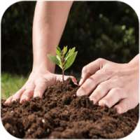 زراعة الخضروات-الزراعة المنزلية‎ on 9Apps