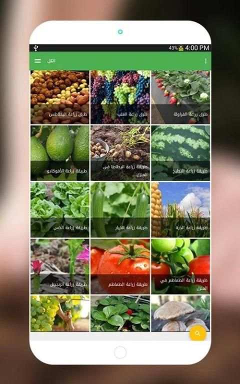 زراعة الخضروات-الزراعة المنزلية‎ screenshot 7