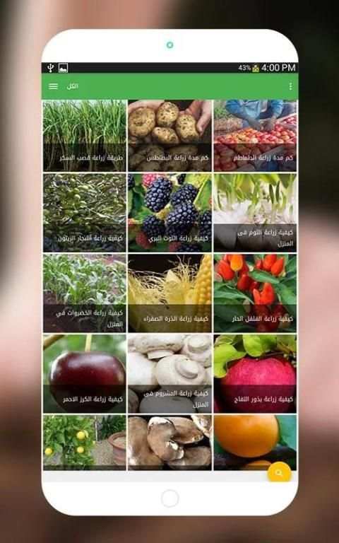 زراعة الخضروات-الزراعة المنزلية‎ screenshot 6