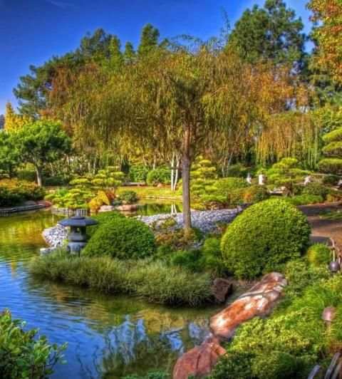 Garden Wallpaper 3 تصوير الشاشة