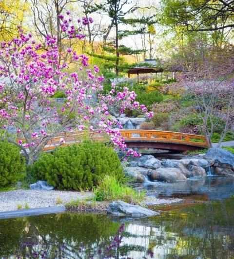 Garden Wallpaper screenshot 6
