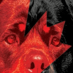 Total Rottweiler Magazine أيقونة