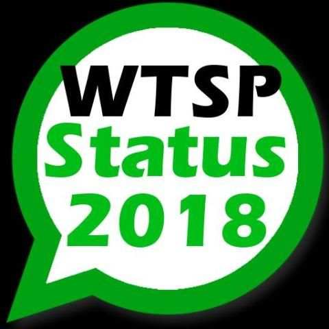 WTSP Status 2018 скриншот 5