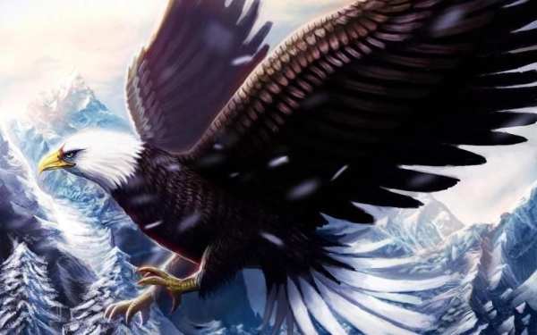 Bald Eagle Wallpaper 3 تصوير الشاشة