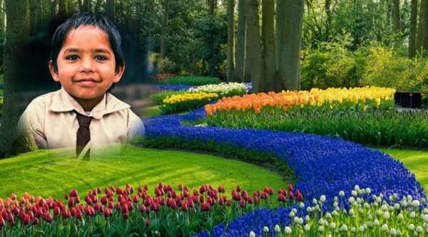 Garden Photo Frame скриншот 1