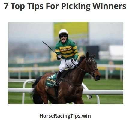 Best Free Horse Racing Tips скриншот 1