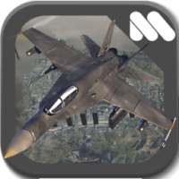 Aircraft Forces Squadron