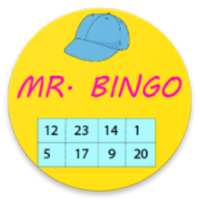 Mr Bingo