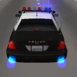 Police Car Driving 3D icon