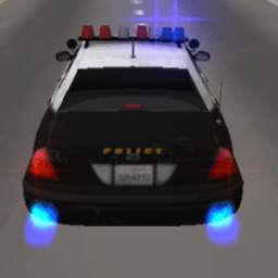 Police Car Driving 3D 2.3