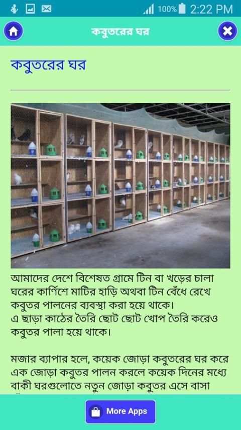কবুতর পালন পদ্ধতি скриншот 1