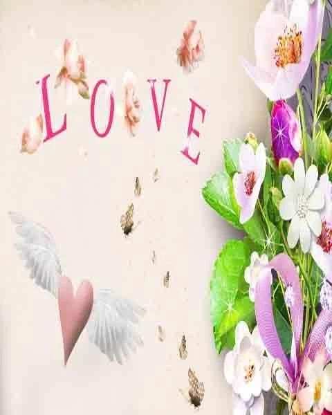 3D Love Wallpapers скриншот 3
