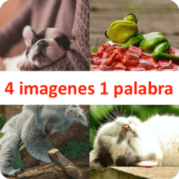 4 imagenes 1 palabra icon