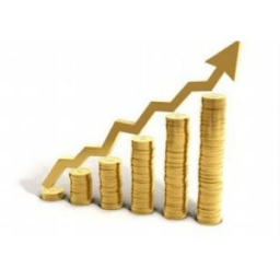 Trading strategies quiz icon