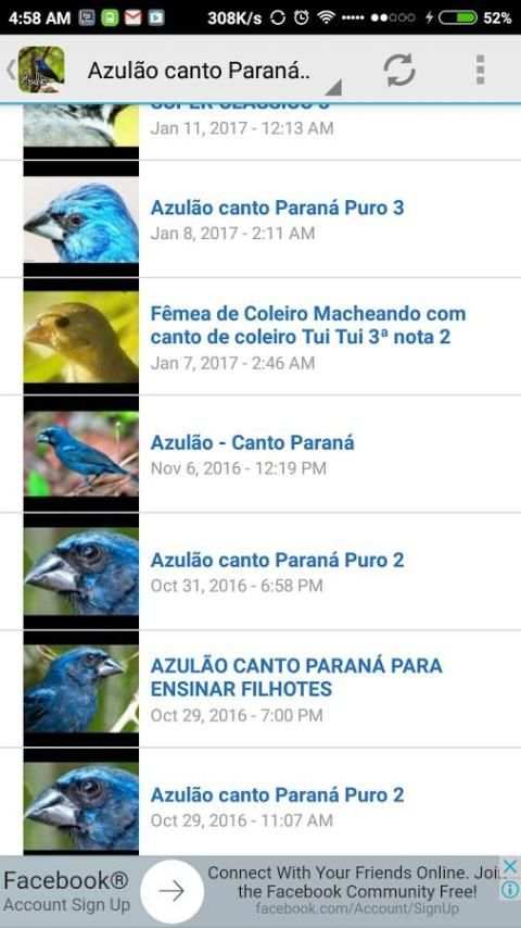 Baixar canto dopássaro azulão screenshot 3