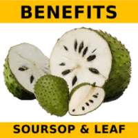 Soursop (Graviola) and Leaf Benefits on 9Apps