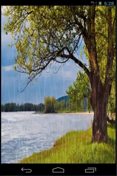 Rain Live Wallpaper स्क्रीनशॉट 2