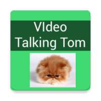 Video Talking Tom