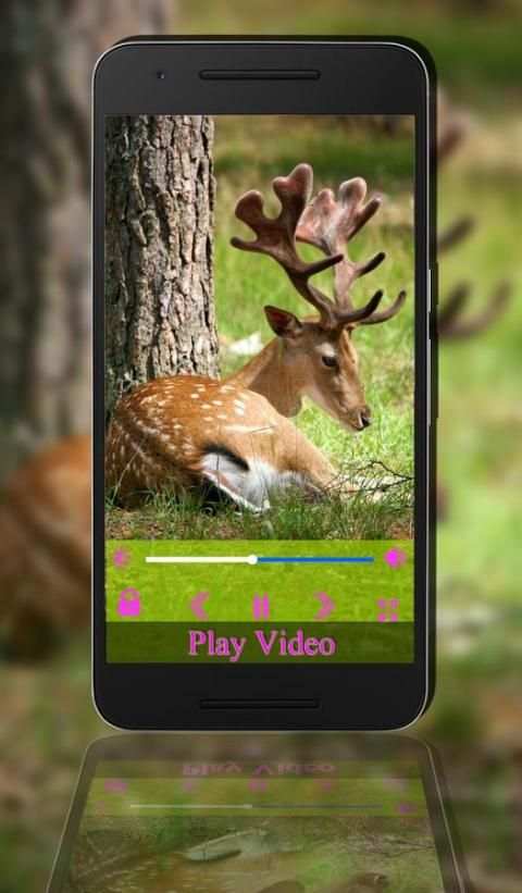 max Player Pro screenshot 1