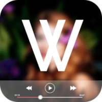 Video Watermark Logo