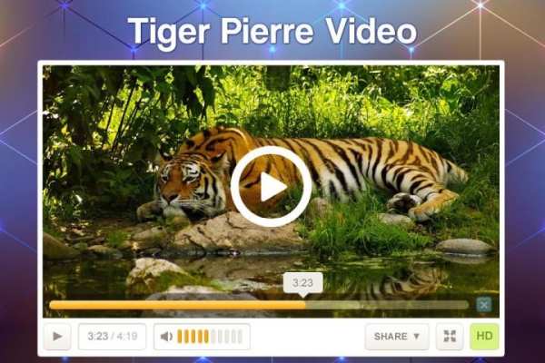 Full HD Video Player screenshot 2