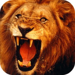 Lion 3D Live Wallpaper आइकन